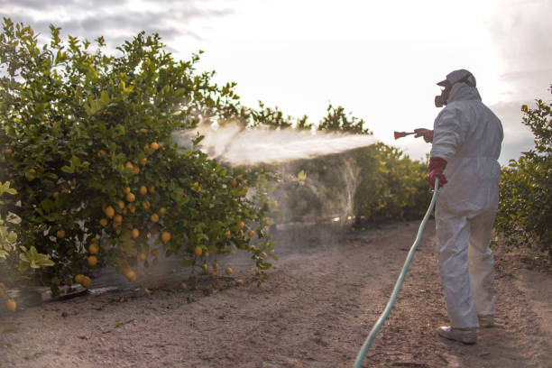 Best Residential Pest Control  in St Marys, KS