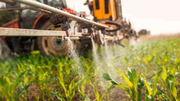 Best Ant Control Services  in St Marys, KS