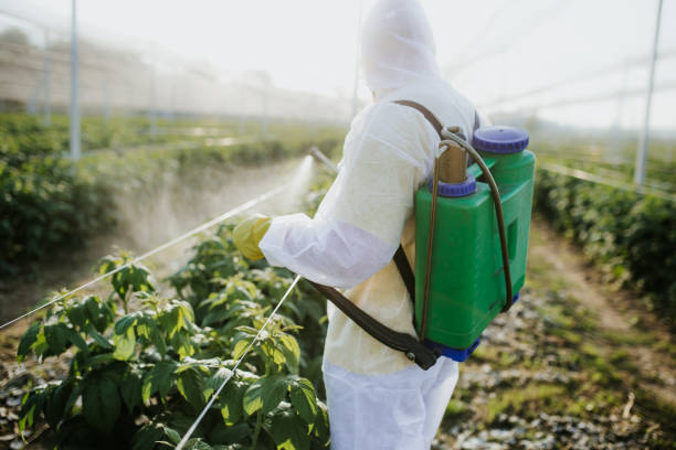 Best Affordable Pest Control Services  in St Marys, KS